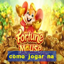 como jogar na teimosinha da lotofacil