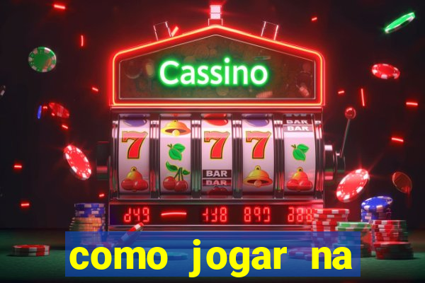 como jogar na teimosinha da lotofacil