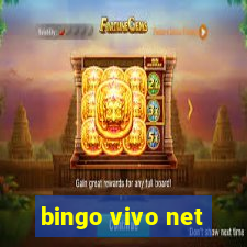 bingo vivo net