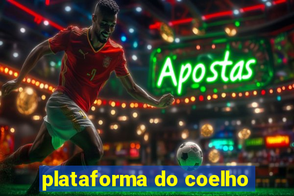 plataforma do coelho