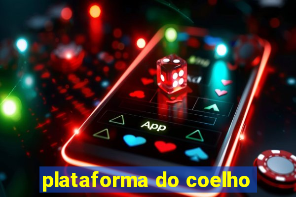 plataforma do coelho