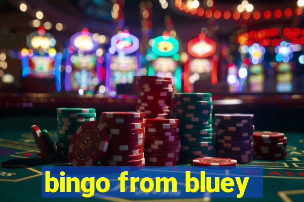 bingo from bluey