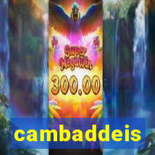 cambaddeis