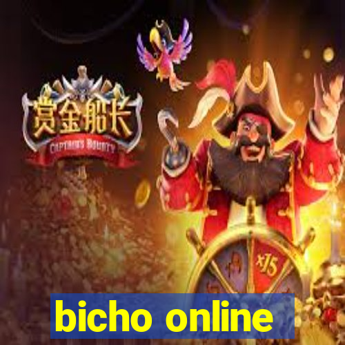 bicho online