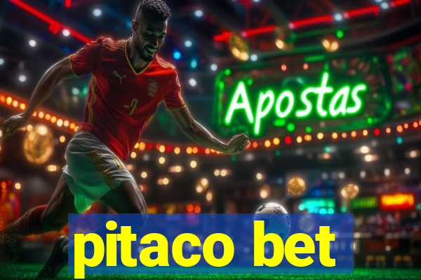 pitaco bet