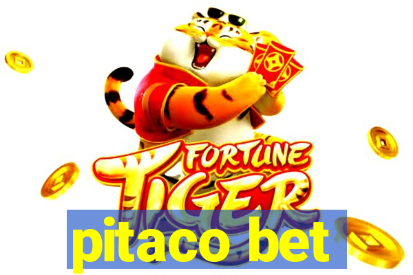 pitaco bet