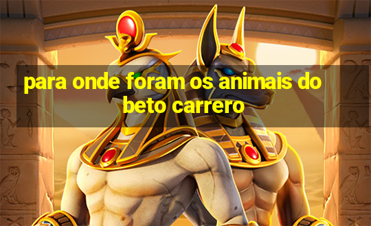 para onde foram os animais do beto carrero