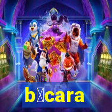 b谩cara