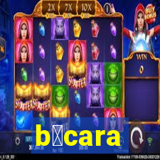 b谩cara