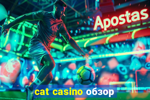 cat casino обзор