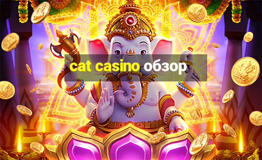 cat casino обзор