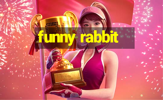 funny rabbit