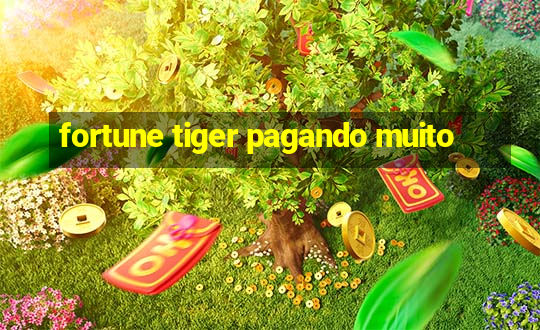 fortune tiger pagando muito