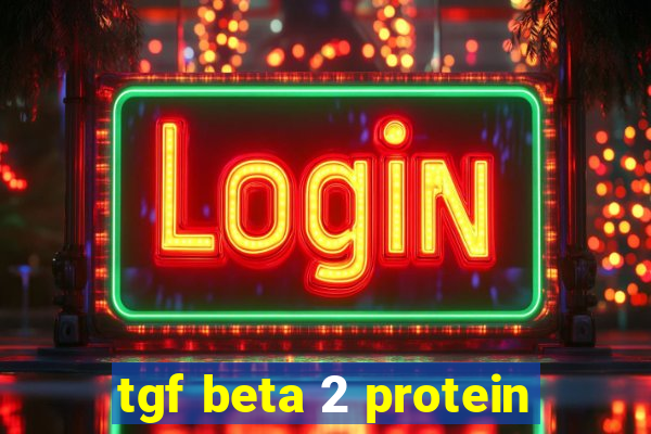 tgf beta 2 protein