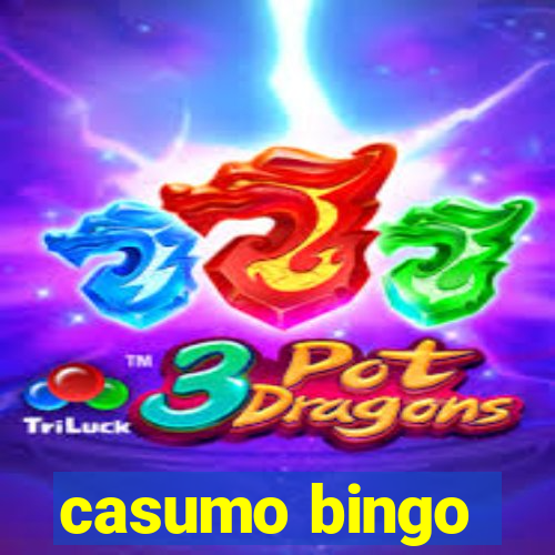 casumo bingo