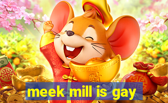 meek mill is gay