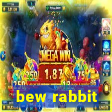 bew rabbit