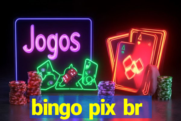 bingo pix br