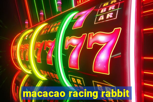 macacao racing rabbit