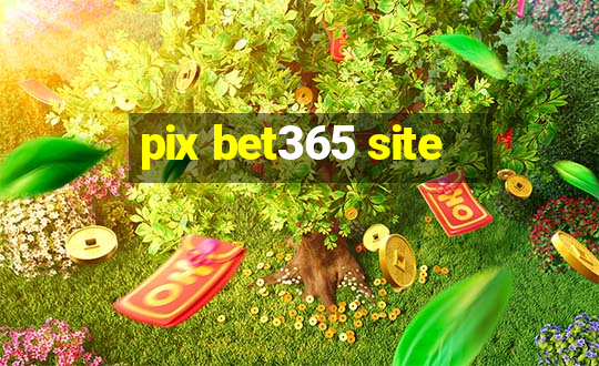 pix bet365 site