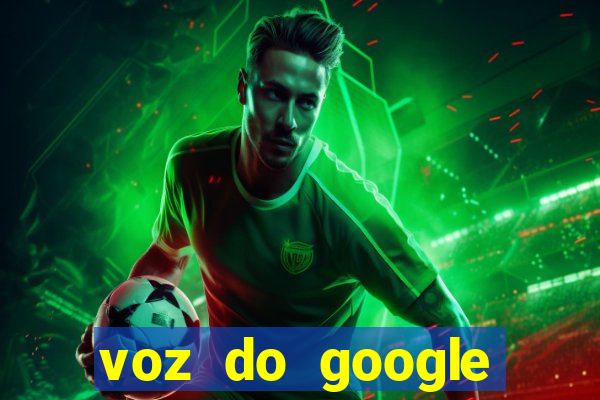 voz do google tradutor homem