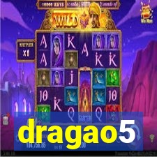 dragao5