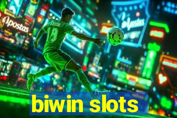 biwin slots