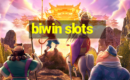 biwin slots