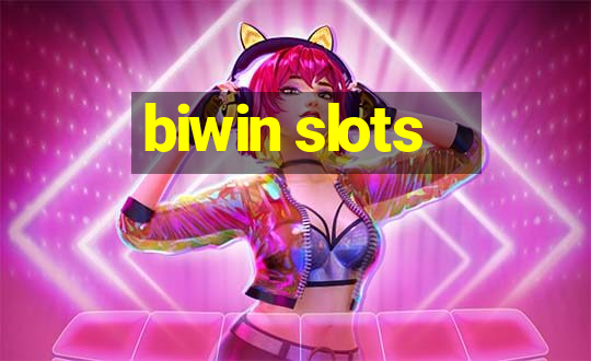 biwin slots