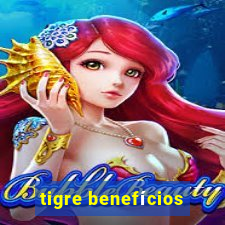 tigre benefícios