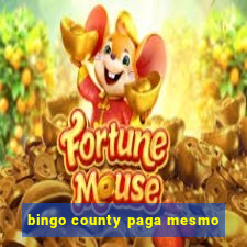 bingo county paga mesmo