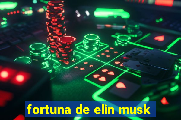 fortuna de elin musk