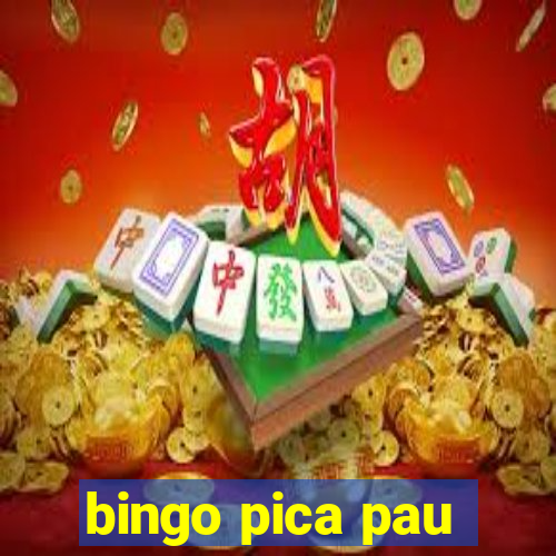 bingo pica pau