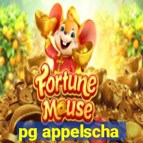 pg appelscha