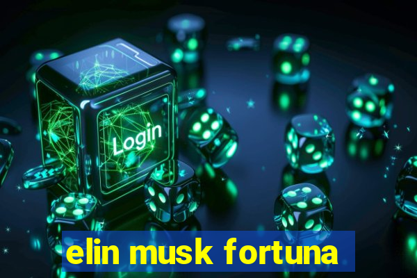 elin musk fortuna