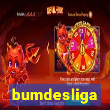 bumdesliga