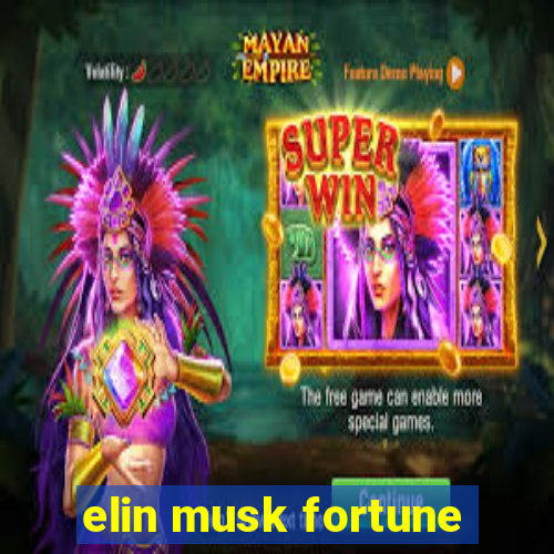 elin musk fortune