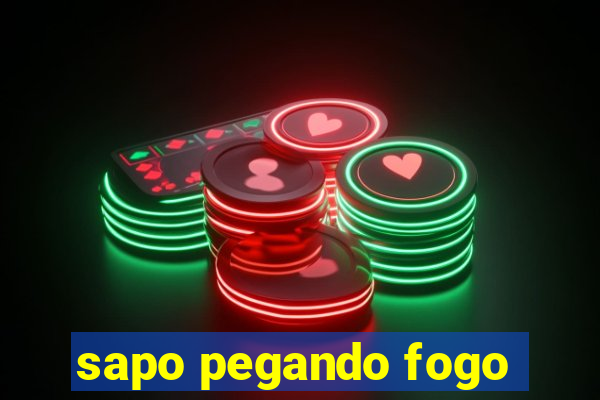 sapo pegando fogo