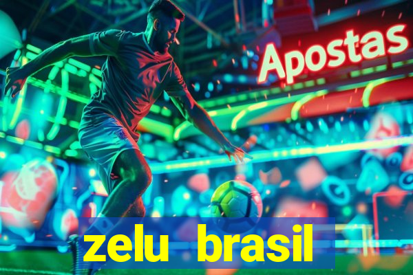 zelu brasil facilitadora de pagamentos ltda jogos