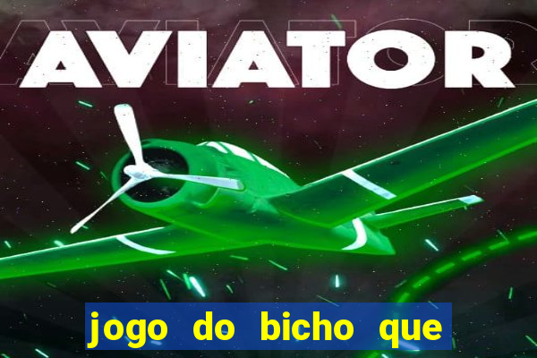 jogo do bicho que da dinheiro