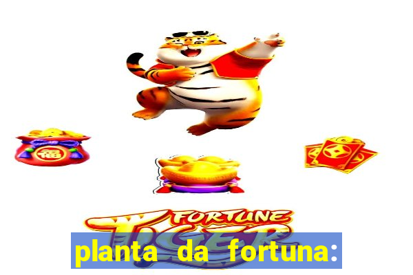 planta da fortuna: como cuidar