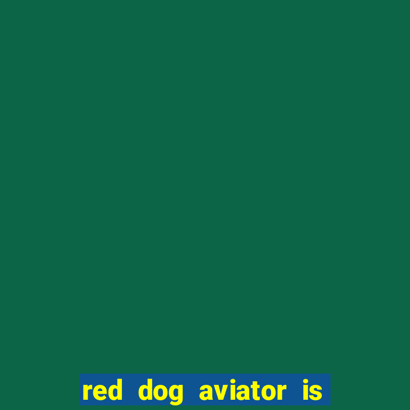 red dog aviator is real or fake