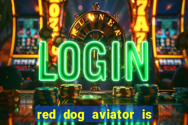 red dog aviator is real or fake