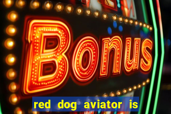 red dog aviator is real or fake