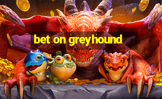 bet on greyhound