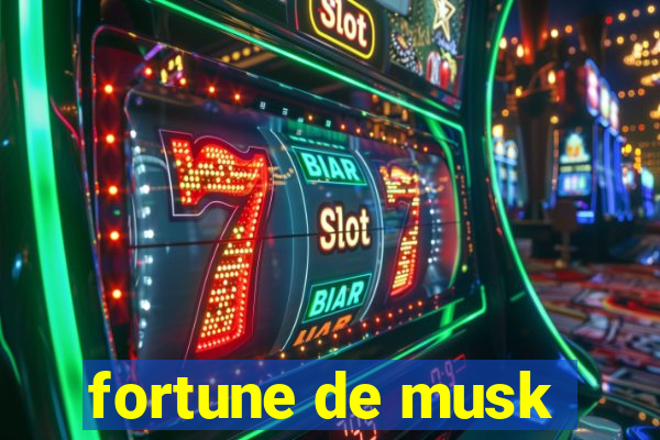 fortune de musk