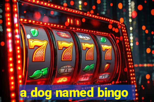 a dog named bingo