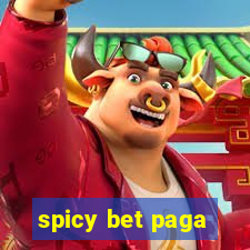 spicy bet paga