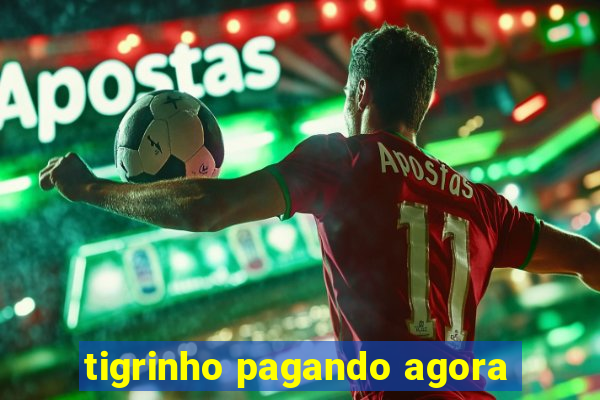 tigrinho pagando agora