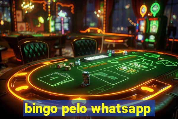 bingo pelo whatsapp